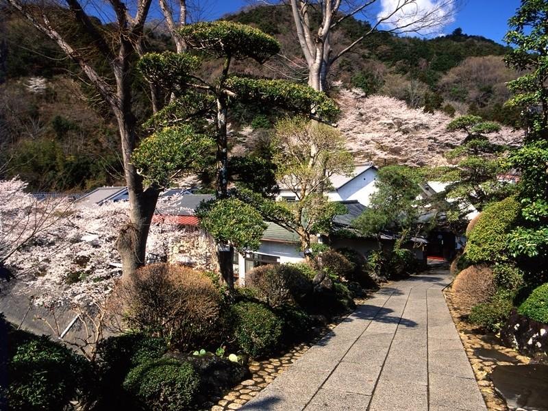 Motoyu Ryokan Ацуги Экстерьер фото