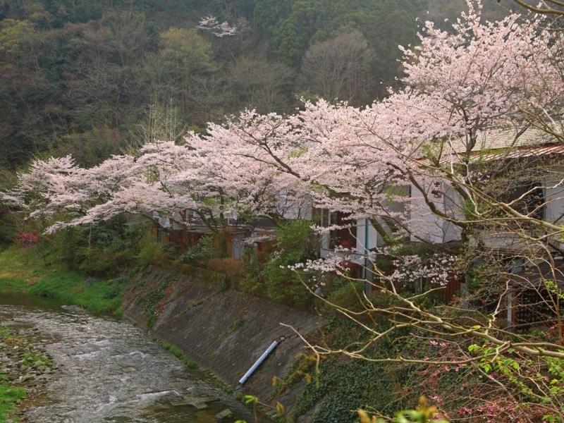 Motoyu Ryokan Ацуги Экстерьер фото